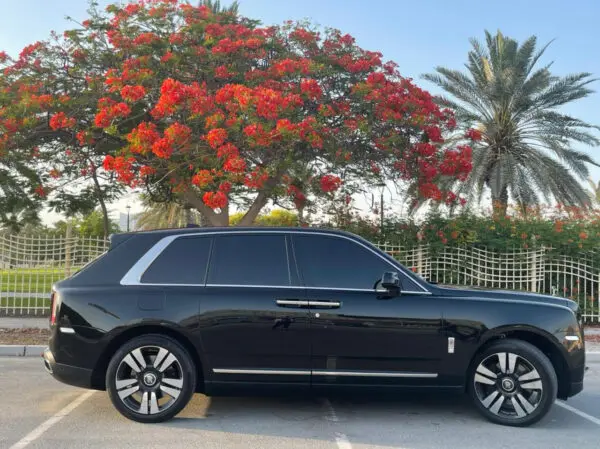Rolls Royce Cullinan (11).webp